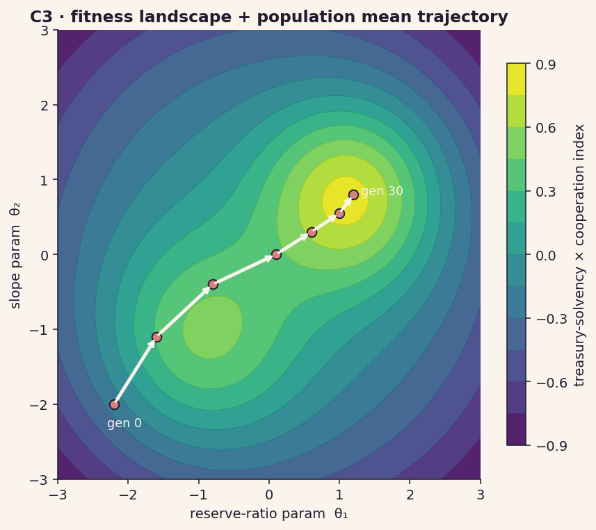 C3 fitness landscape