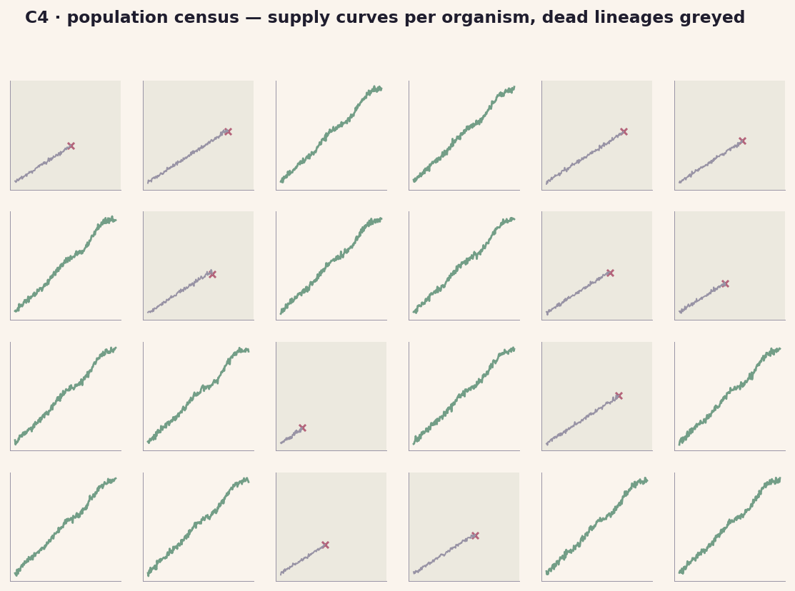 C4 population census