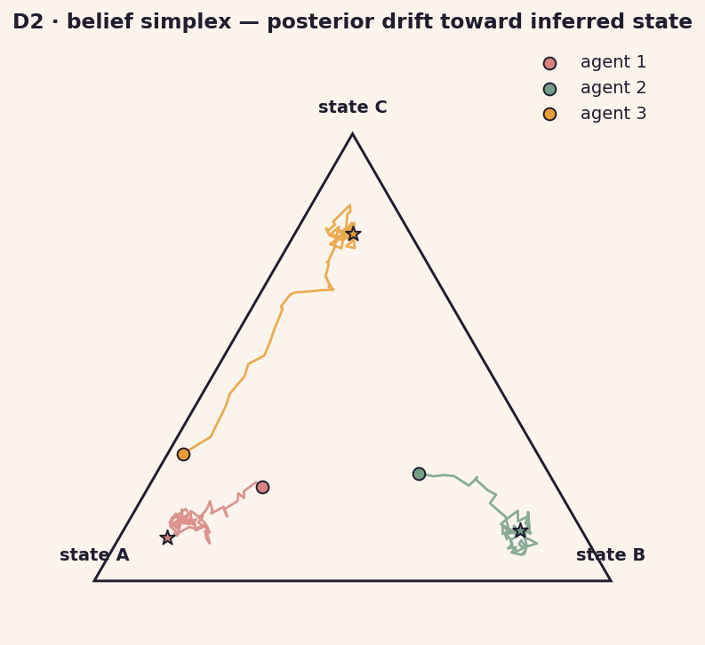 D2 belief simplex